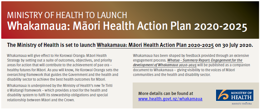 https://www.health.govt.nz/our-work/populations/maori-health/whakamaua-maori-health-action-plan-2020-2025