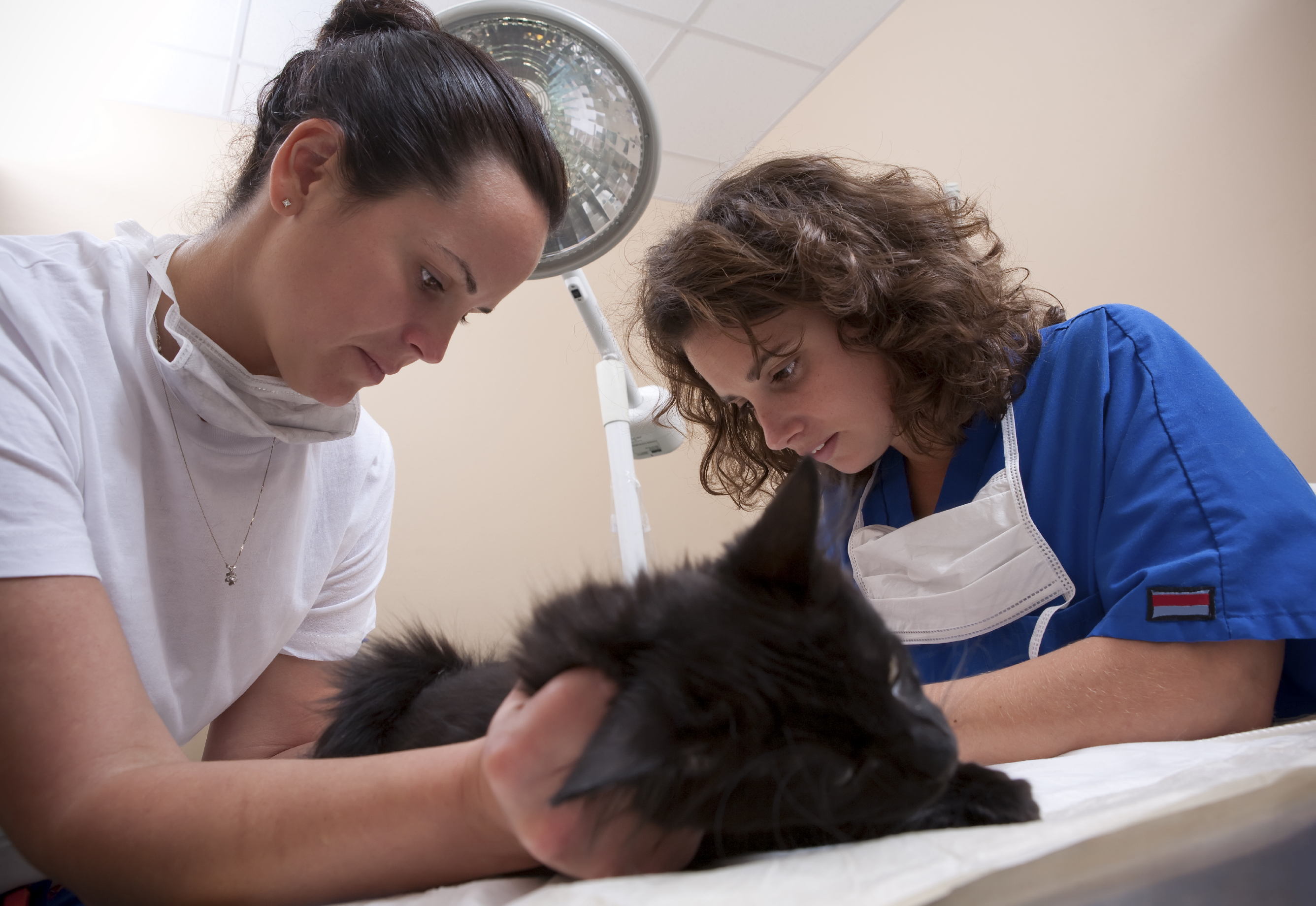 Making Your Education Easy 