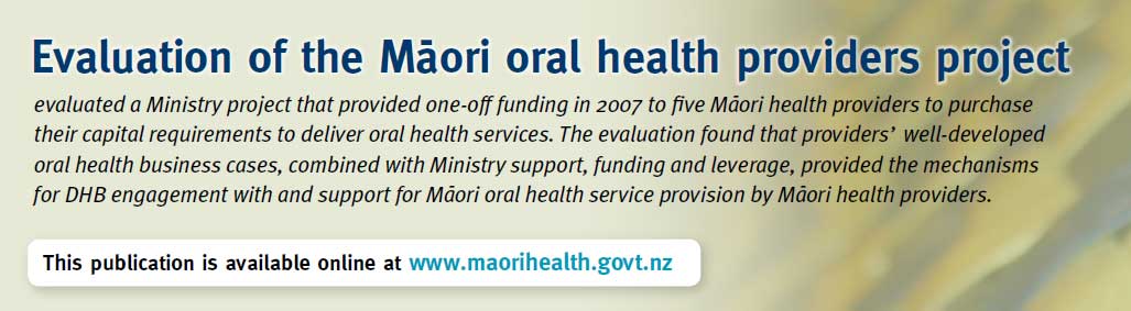 http://www.health.govt.nz/our-work/populations/maori-health